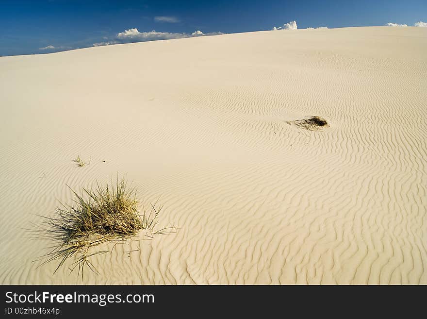 The Landscape On Desert Leba