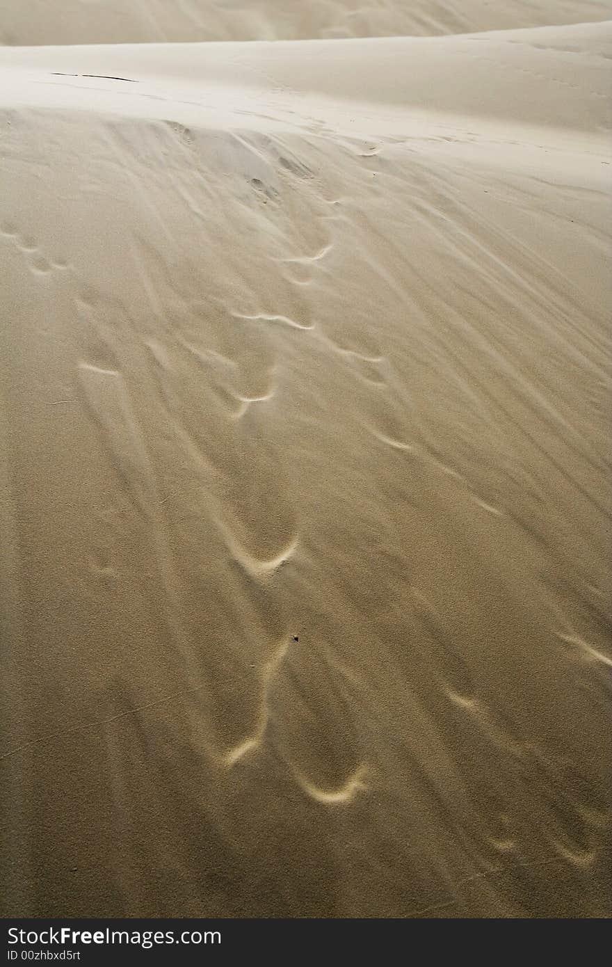 The sand structure in desert Leba