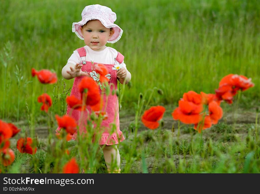 An image of baby-girl amongst field with poppies. An image of baby-girl amongst field with poppies