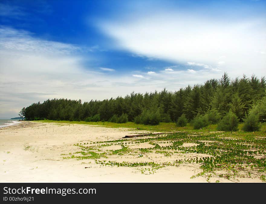 A beach with  blue sky