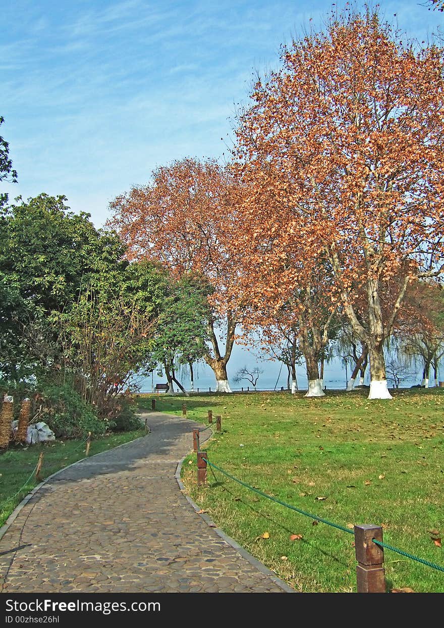 Road and trees nearby the Xizi Lake, hangzhou city, china