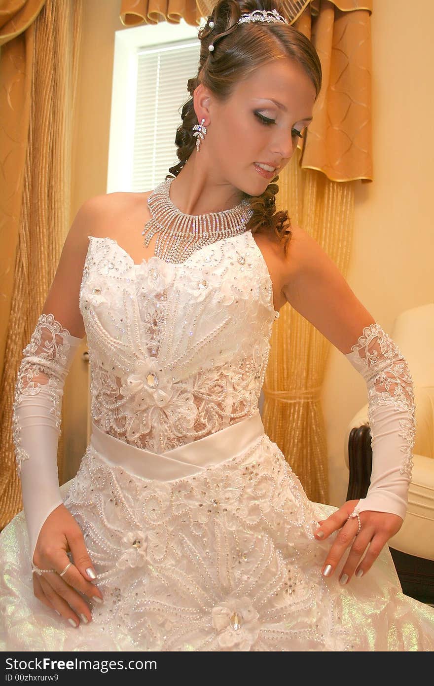 Bride In Wedding Dress