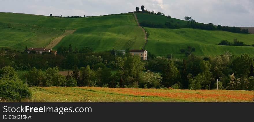 Green hills of the marche region in Italy. Green hills of the marche region in Italy