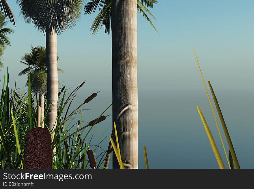 Palm trees on the shore