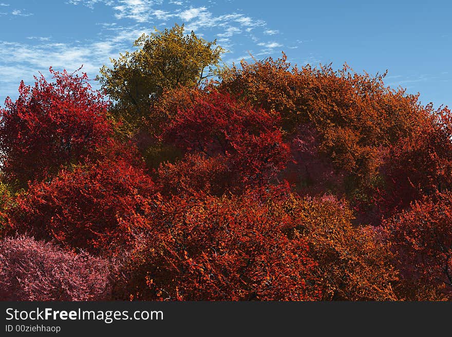 Illustration of lush vegetation growth