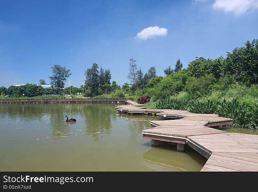 Wood path on water