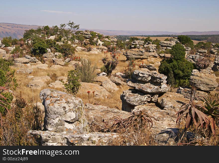 A rocky hilltop in the Skurweberg, South Africa. Lichen covered rocky outcrops and aloe plants dot the grass covered hilltop.