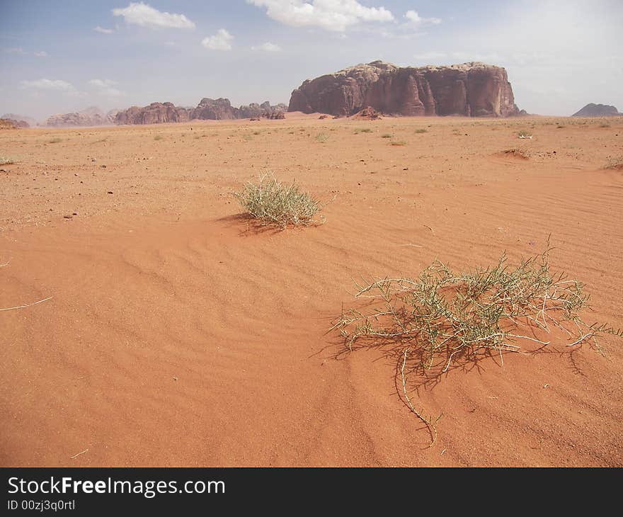 Desert Wadi Rum, Jordan