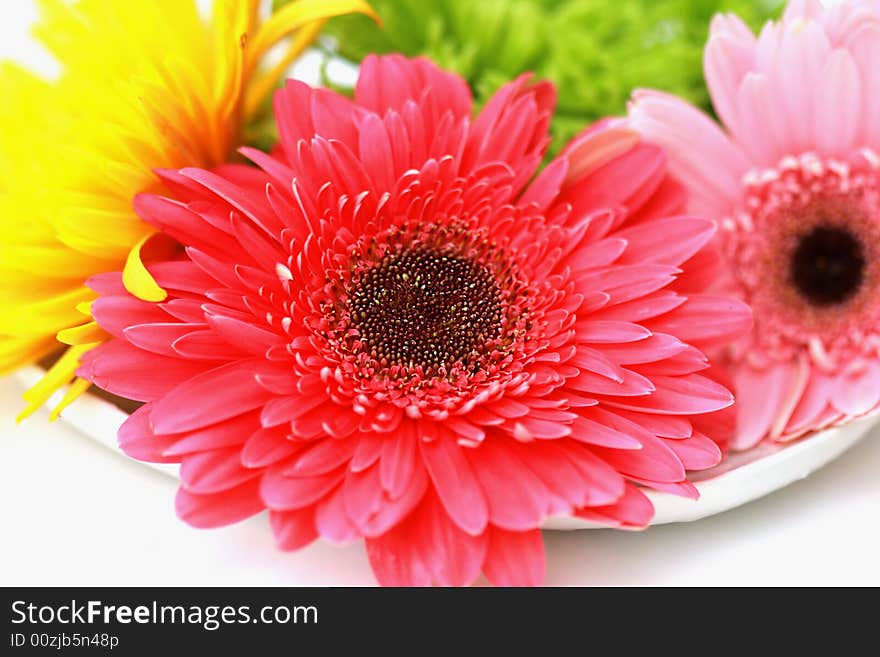 Flowers on the white plate