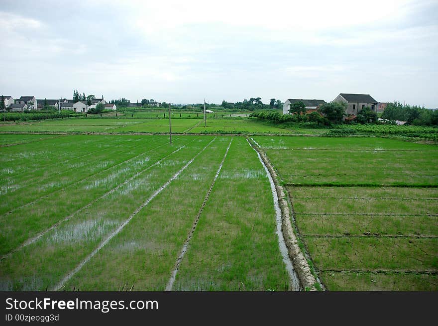 Picturesque summer landscape of countryside