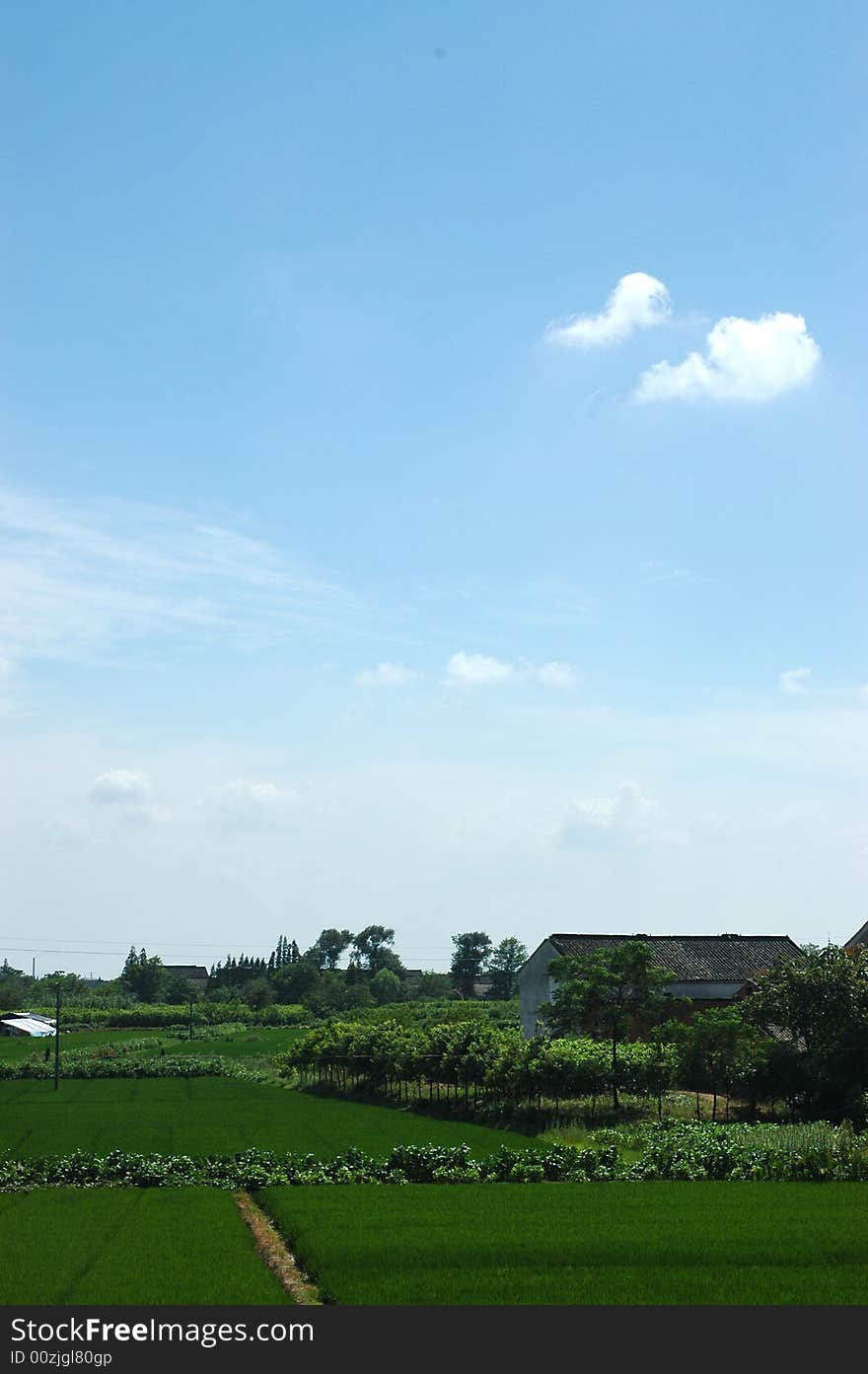 The farm house in the harvested fields, Taken in china.