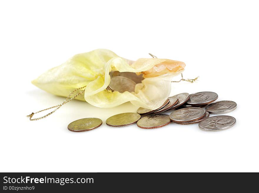 Coins in Gold Bag