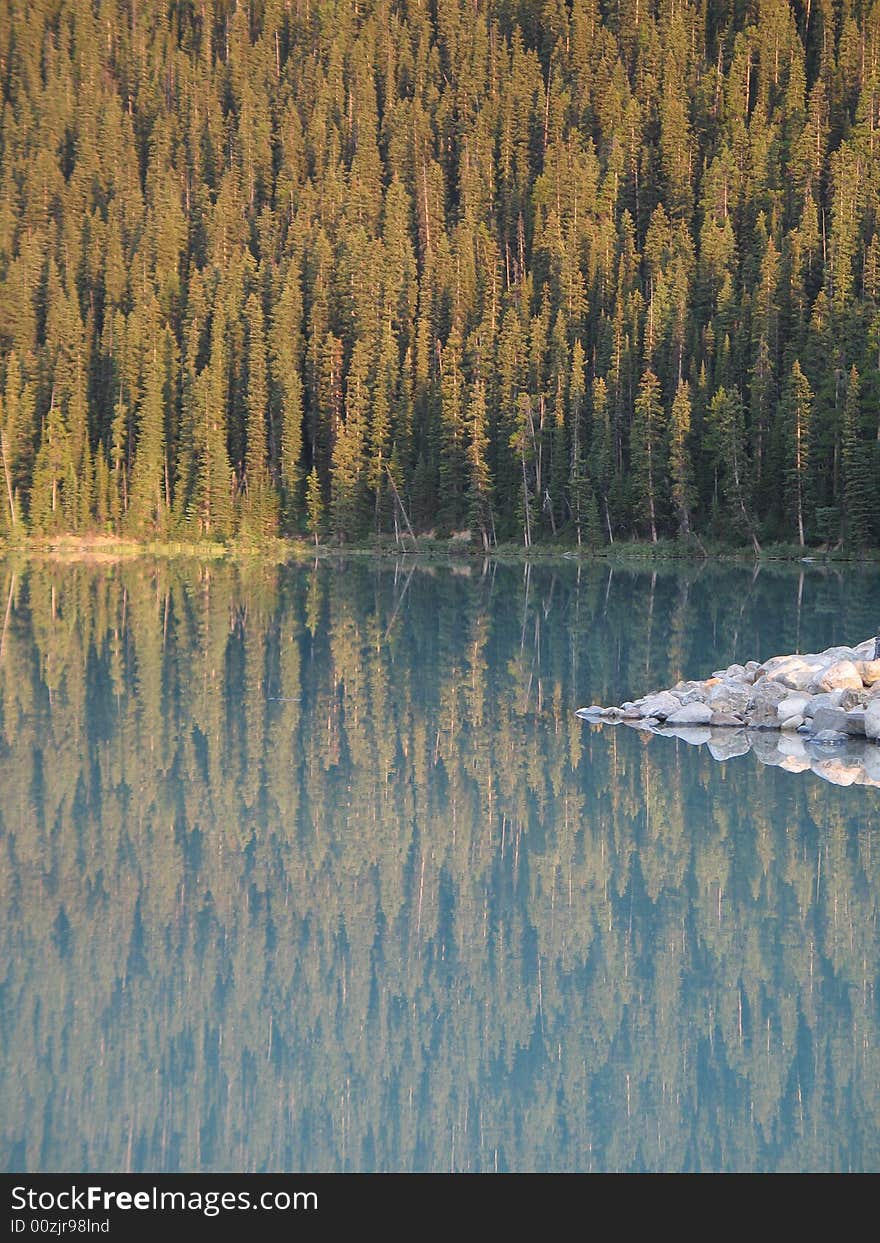 Calm lake and forest