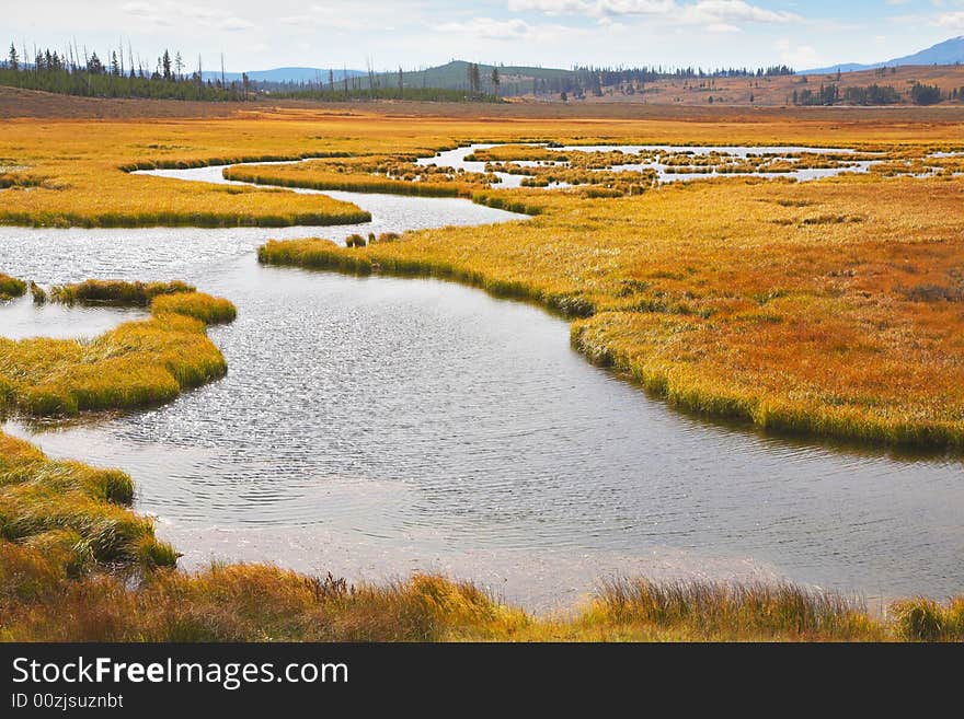 Twisting small stream on flat marshy plain