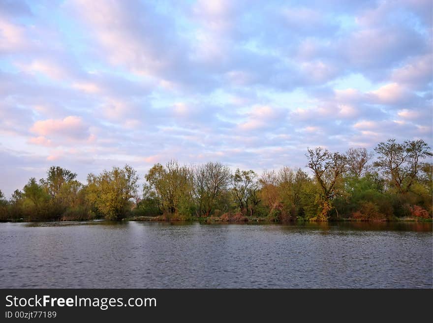 Trees on lake coastline