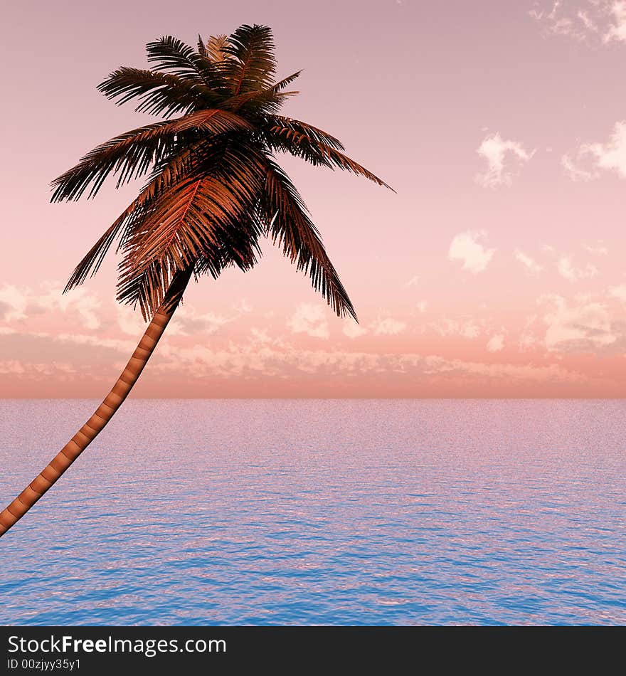 Coconut palm and pink sky with cloudse.