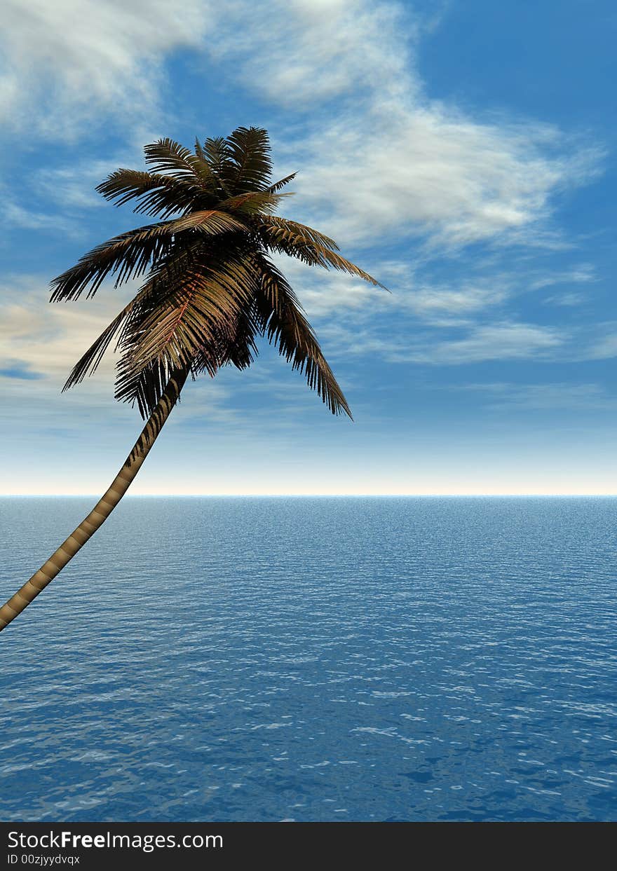 Coconut palm and blue sky with clouds