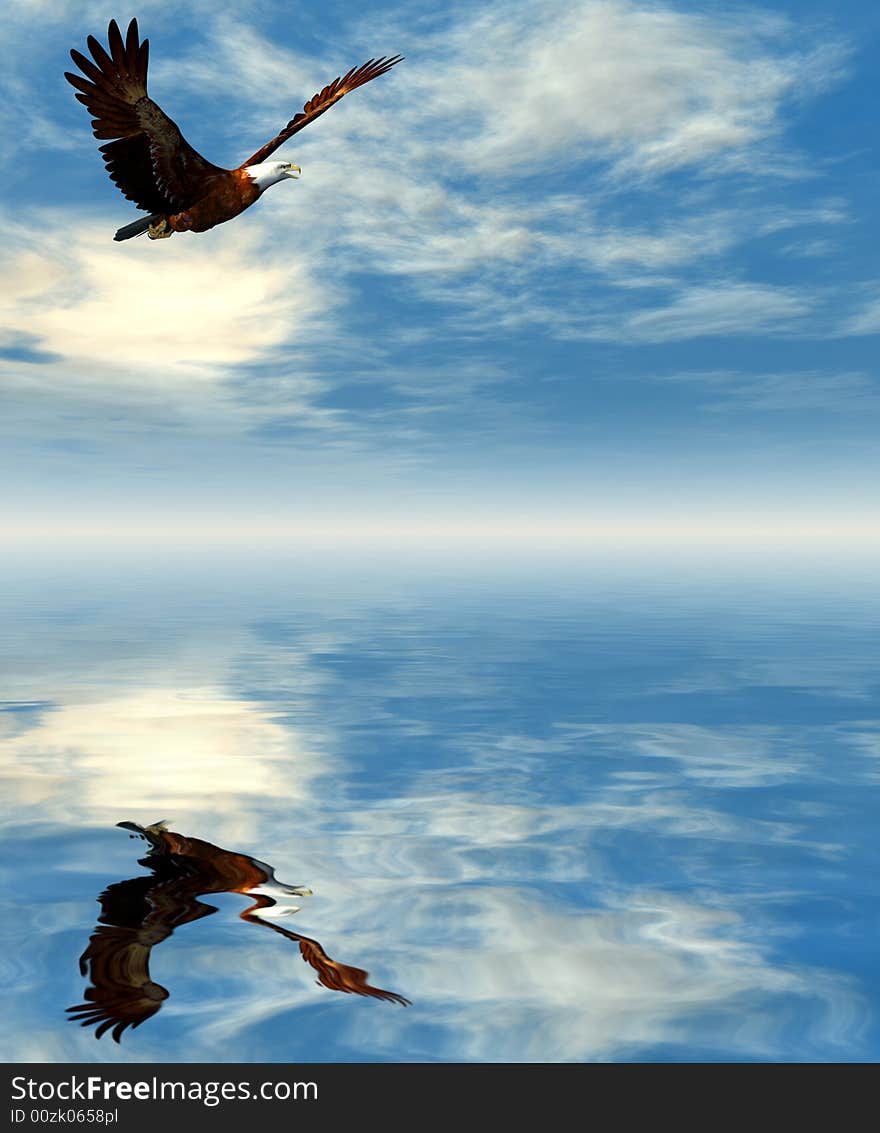 Eagle flying on a background of the dark blue sky