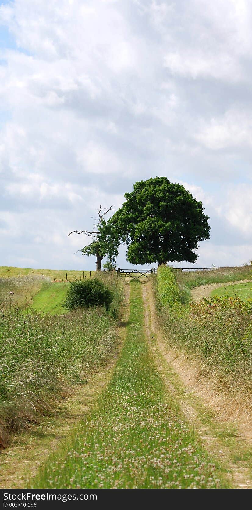 An uphill shot of a country path into farmland. An uphill shot of a country path into farmland