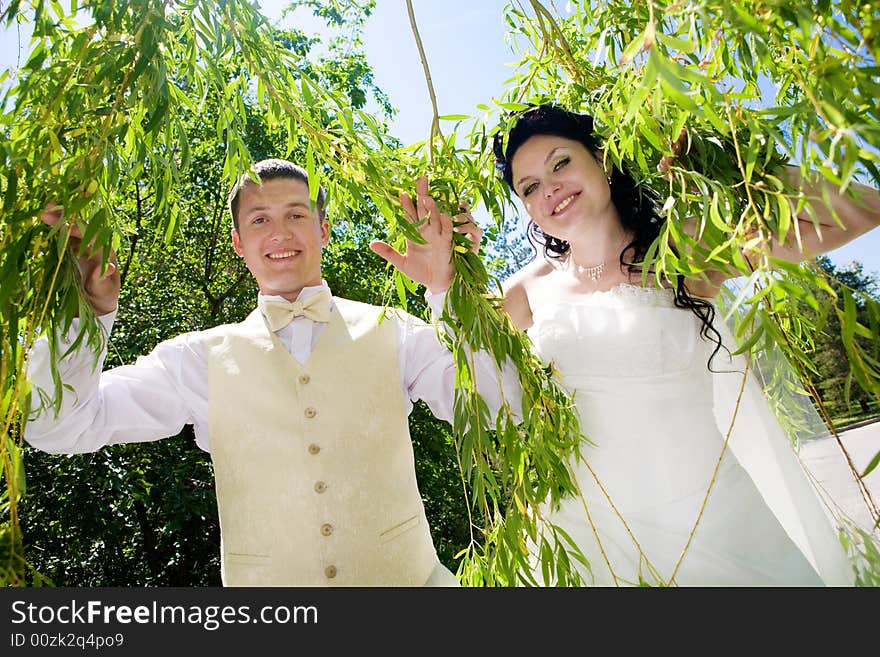 Bride and groom in the branches of the tree. Bride and groom in the branches of the tree