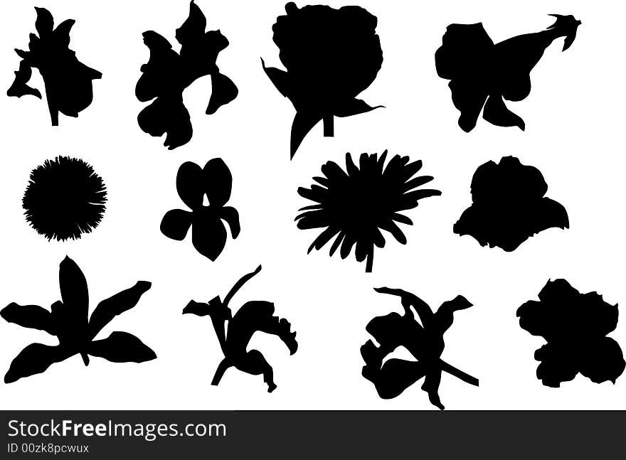 Flowers silhouettes isolated on white