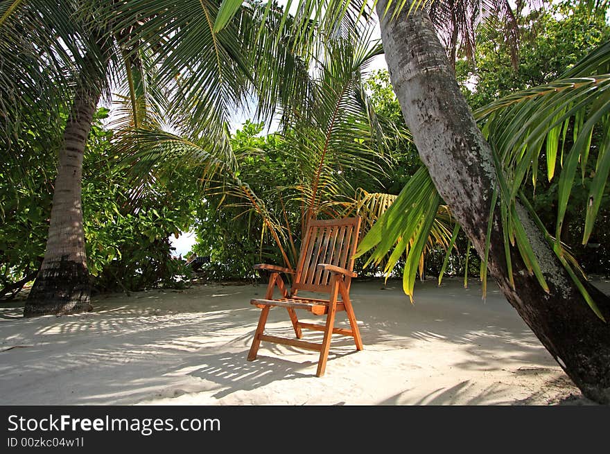 Wooden chair under palm trees. Wooden chair under palm trees