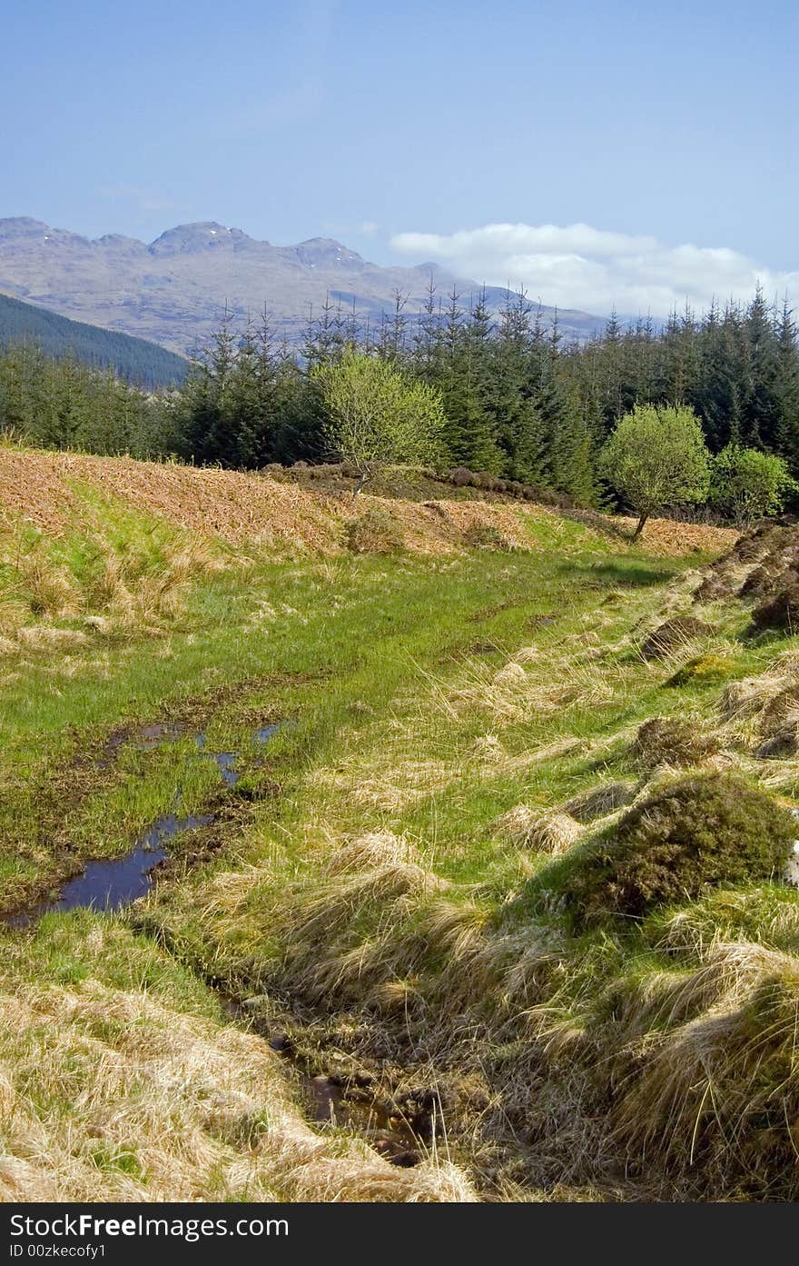 Scottish Countryside And Distant Mountains