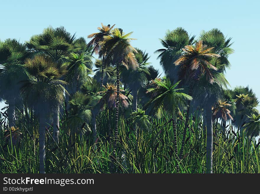 Illustration of palm trees on the tropical island