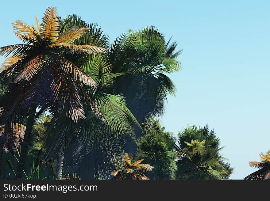 Illustration of palm trees on the tropical island