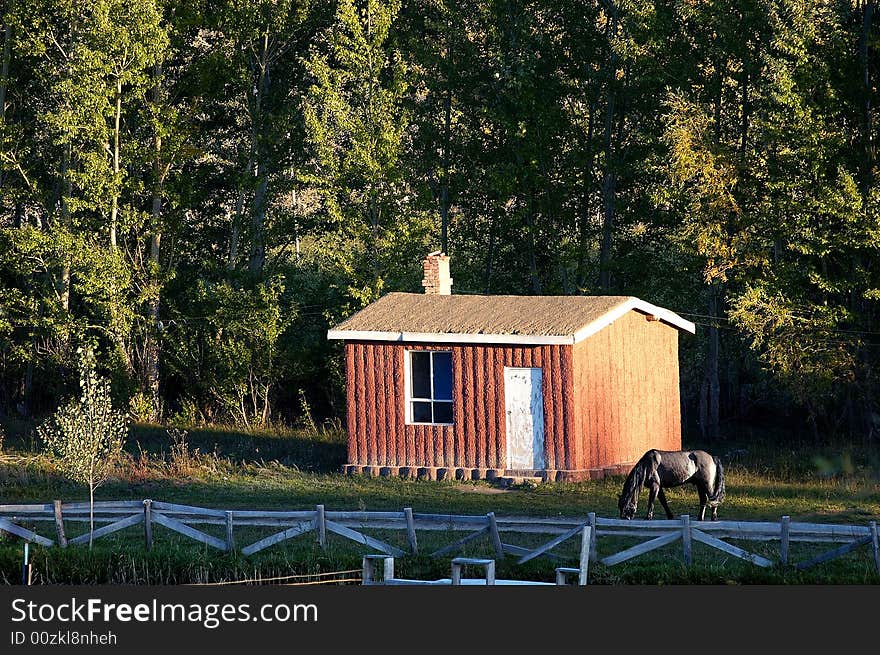 Countryside house and horse resting. Countryside house and horse resting