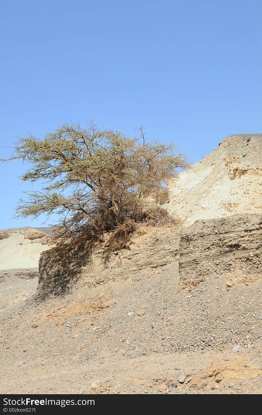 View Arabian Desert