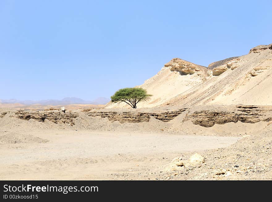 View Arabian Desert