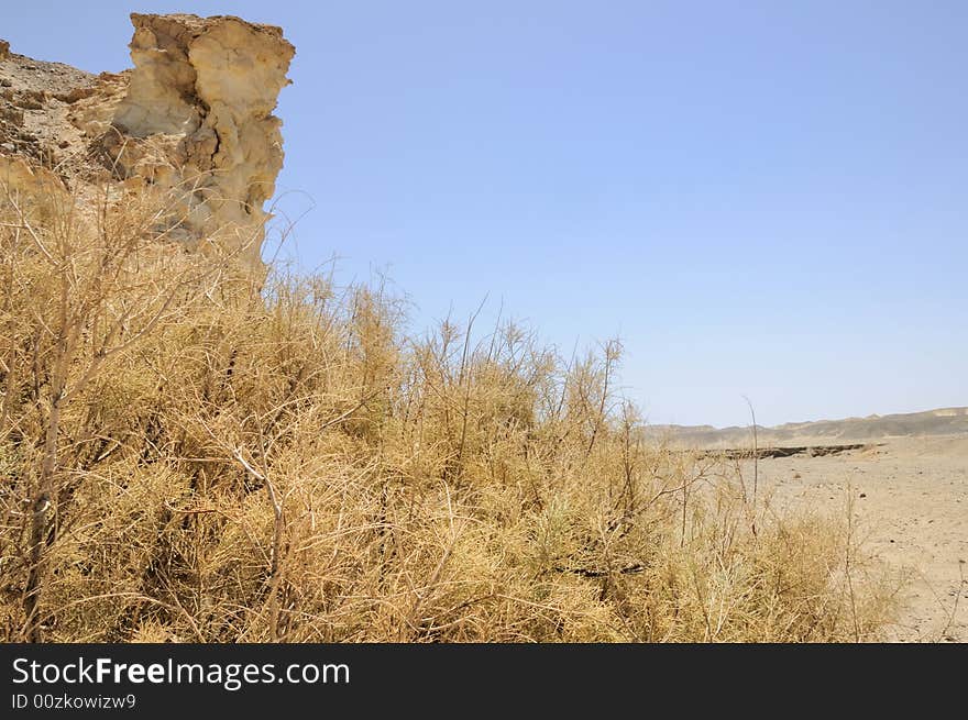 View Arabian Desert