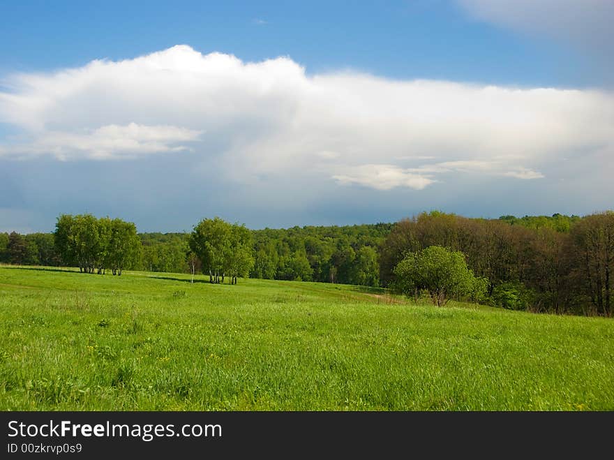 Green meadow and forest landscape with beautiful sky above