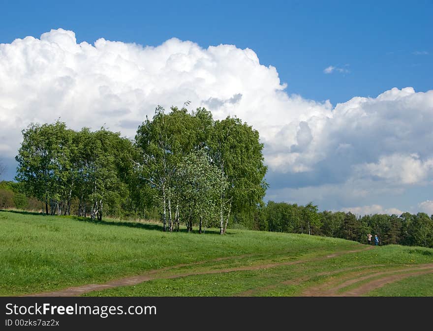 Birches on a green hill. Two persons walk on a footpath. Beautiful cloudscape above. Birches on a green hill. Two persons walk on a footpath. Beautiful cloudscape above.