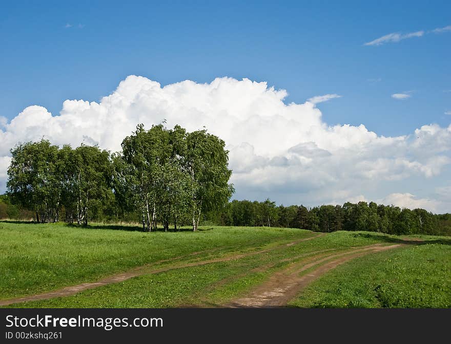 Birches on a green hill. Beautiful cloudscape above. Birches on a green hill. Beautiful cloudscape above.