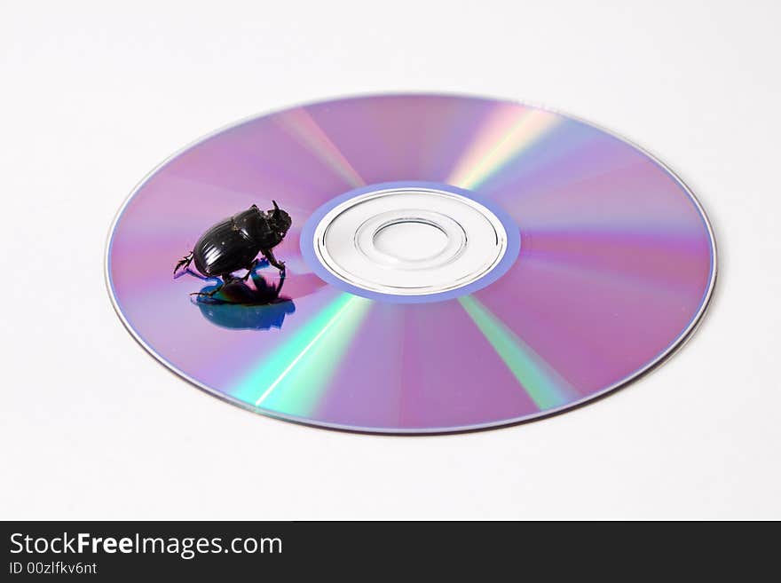 Data bug on compact disc