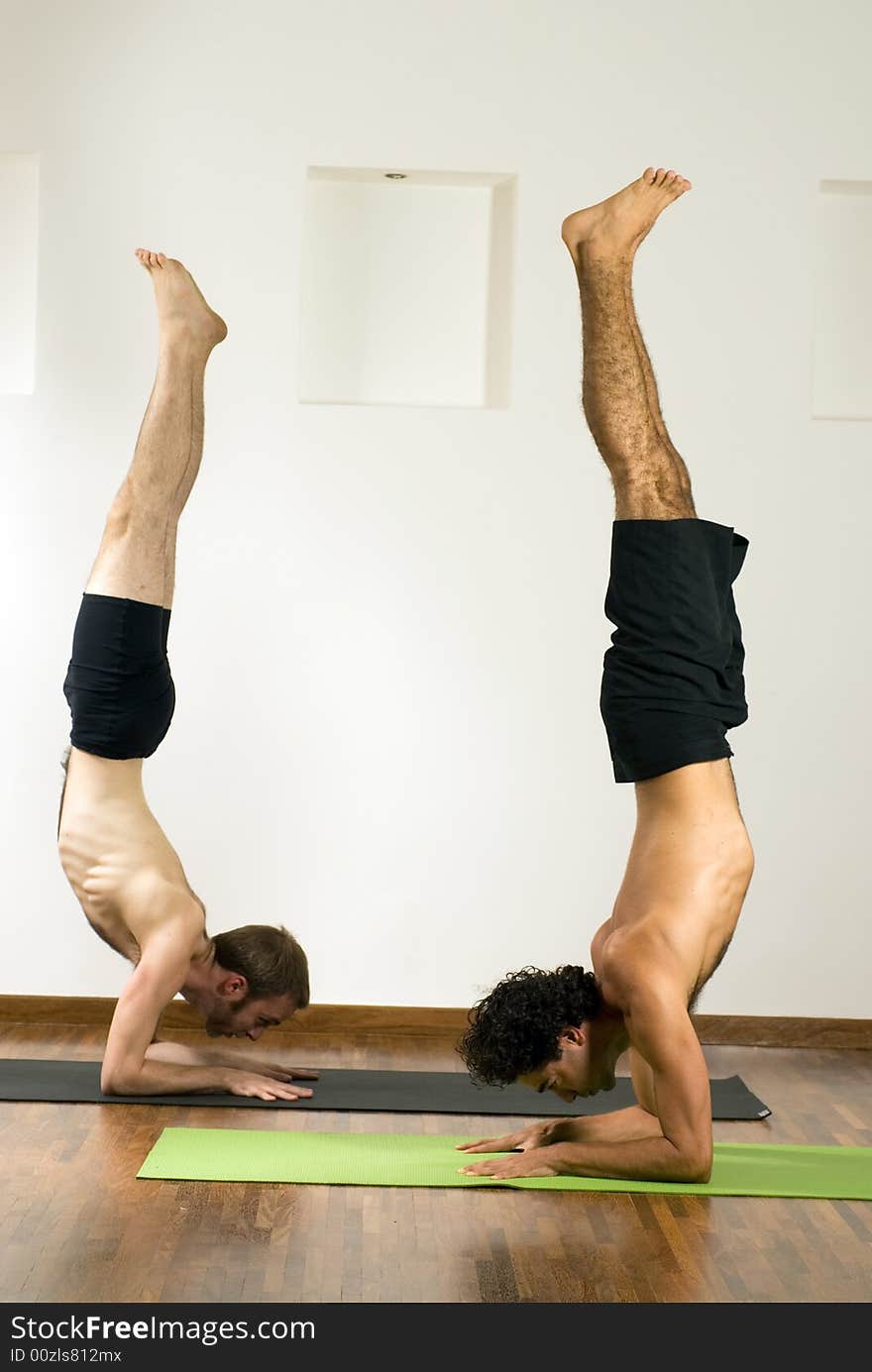 Two men performing a handstand on elbows, on mats on a hardwood floor. - vertically framed. Two men performing a handstand on elbows, on mats on a hardwood floor. - vertically framed