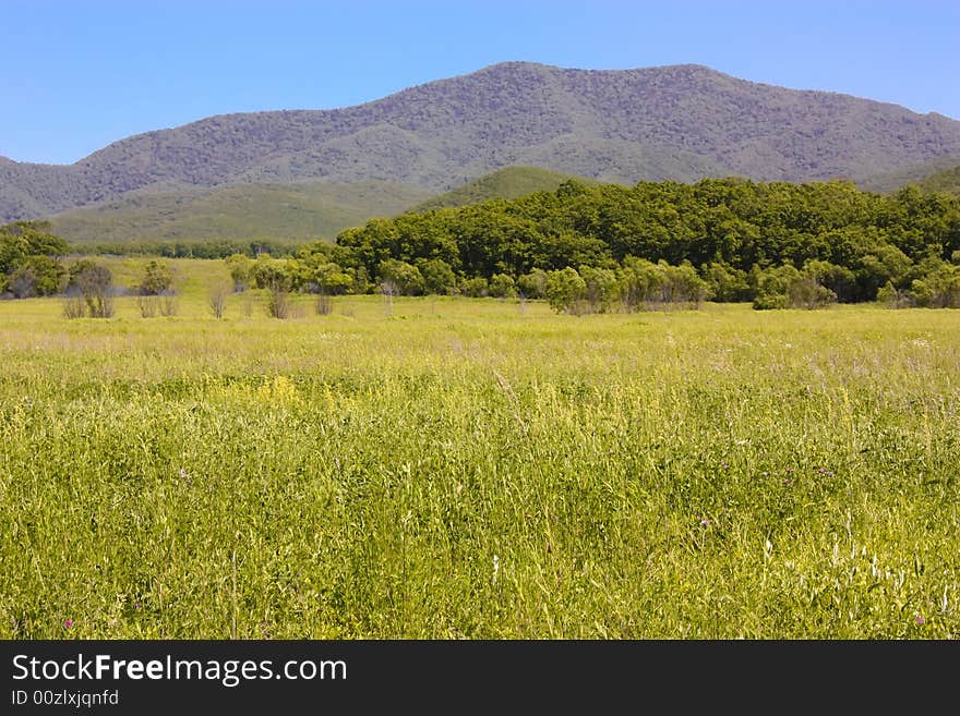 A green hills in the Fields.