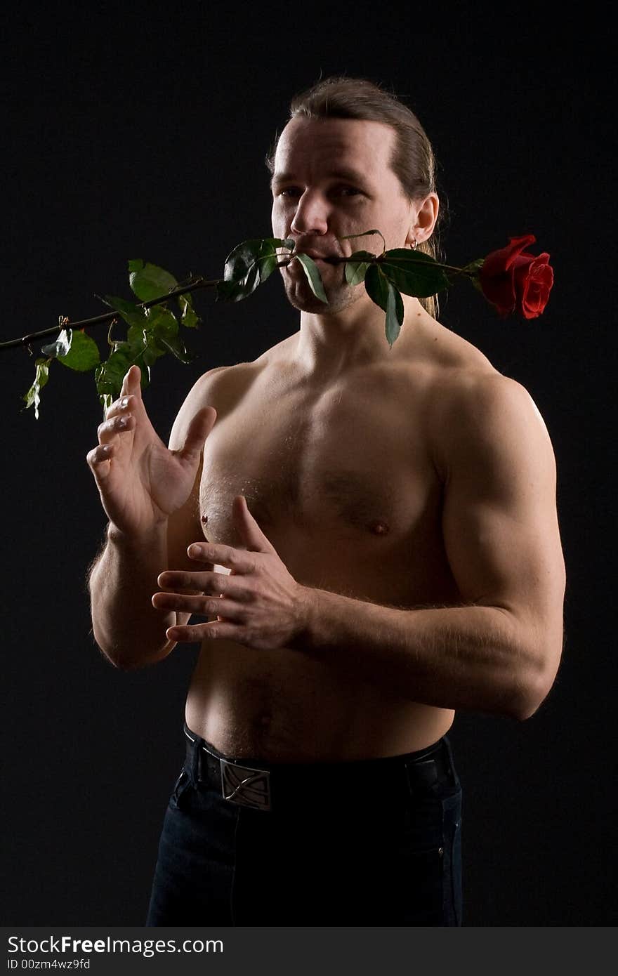 Standing romantic man with red rose. Standing romantic man with red rose