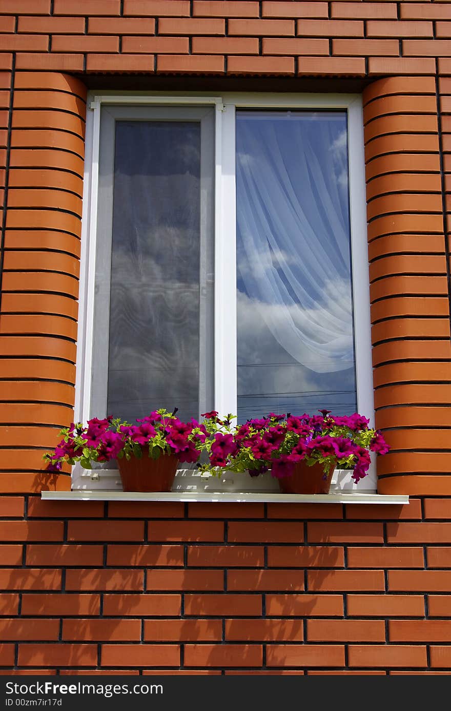 Windows of house with flowerpots on window-sills