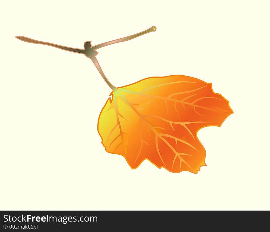 Аutumnal leaf. Sunny joyful beautiful day. Vector.