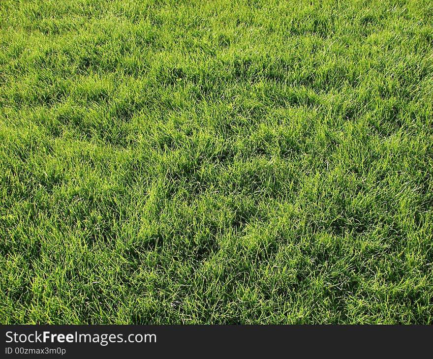 Background green lawn freshly mowed. Background green lawn freshly mowed