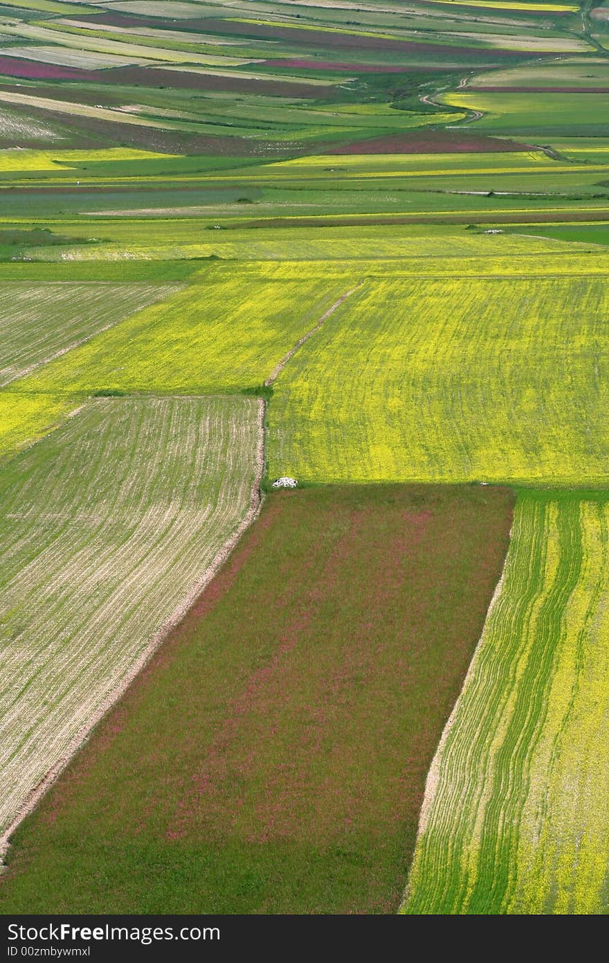 Summer landscape captured near Castelluccio di Norcia - Umbria - Italy. Summer landscape captured near Castelluccio di Norcia - Umbria - Italy