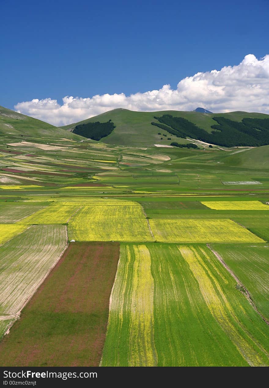 Summer Landscape In Castelluccio