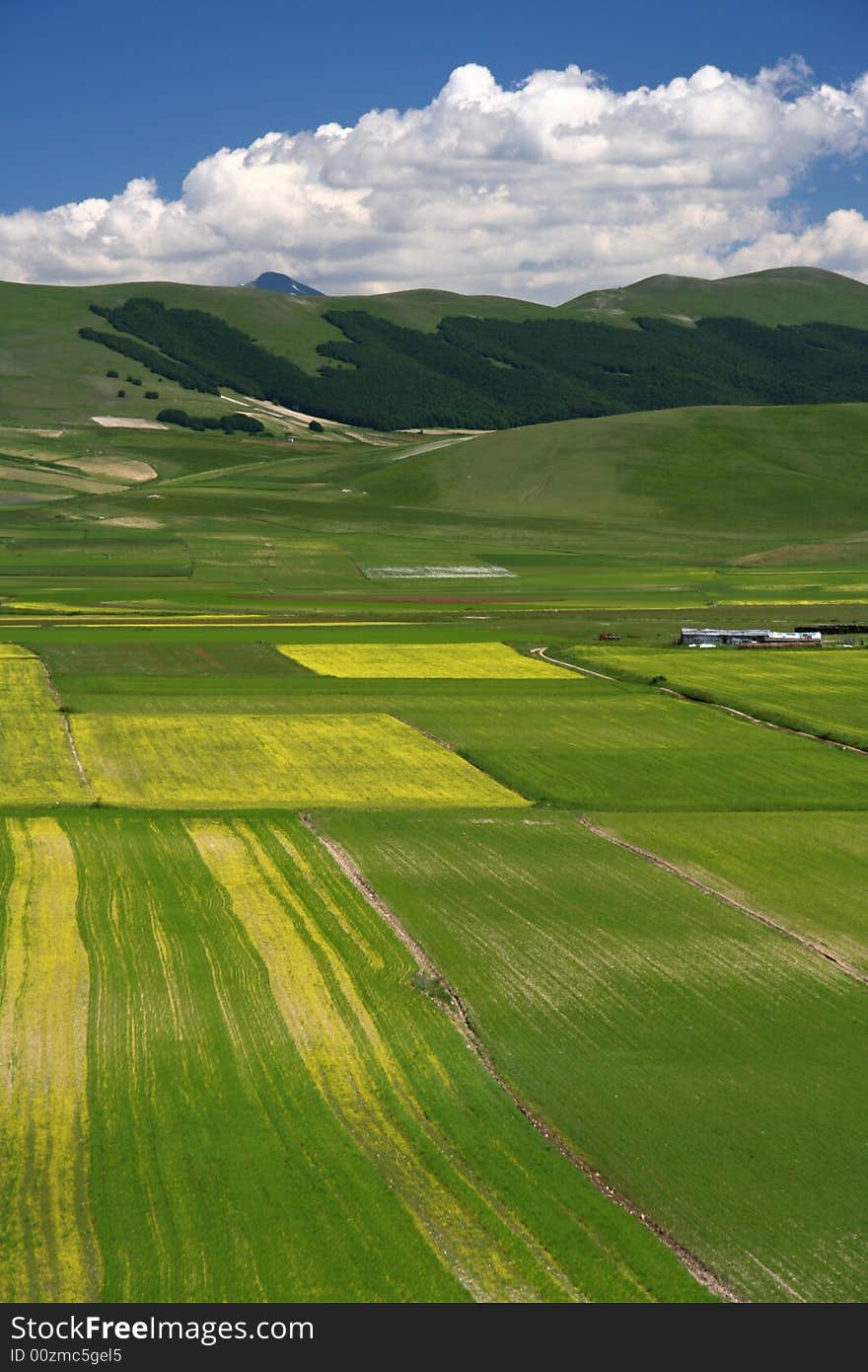 Summer landscape in Castelluccio