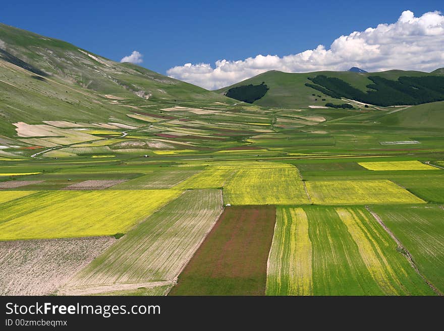 Summer landscape captured near Castelluccio di Norcia - Umbria - Italy. Summer landscape captured near Castelluccio di Norcia - Umbria - Italy