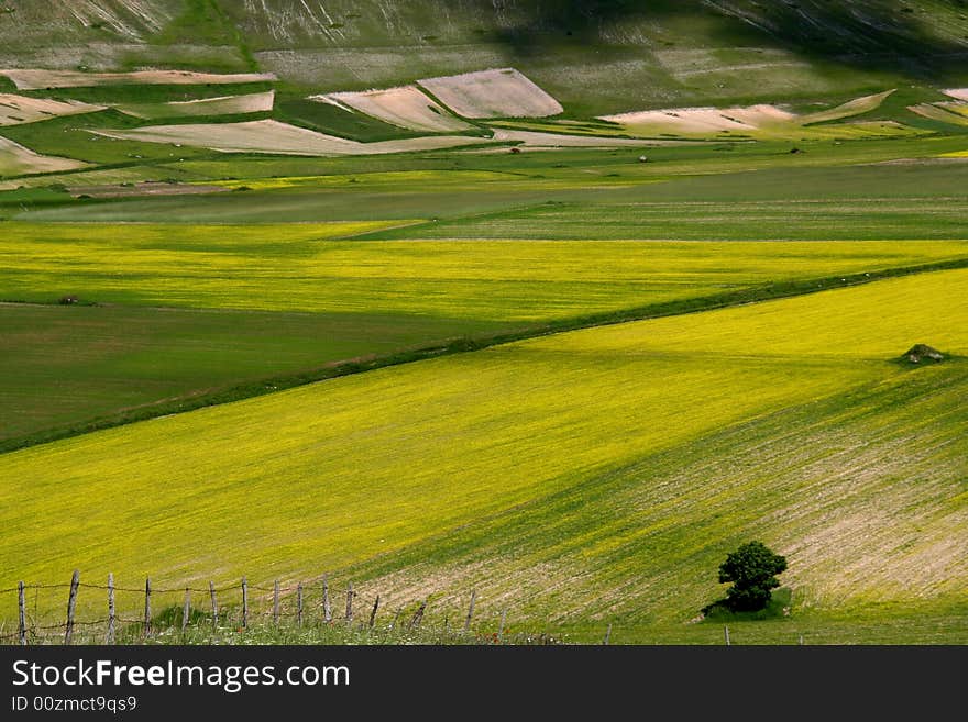 Summer landscape captured near Castelluccio di Norcia - Umbria - Italy. Summer landscape captured near Castelluccio di Norcia - Umbria - Italy