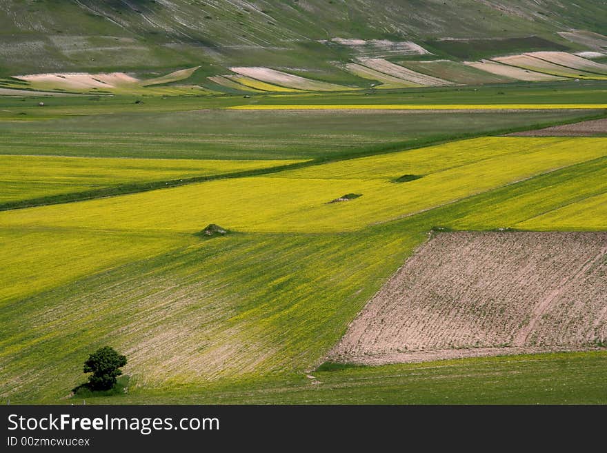 Summer landscape captured near Castelluccio di Norcia - Umbria - Italy. Summer landscape captured near Castelluccio di Norcia - Umbria - Italy