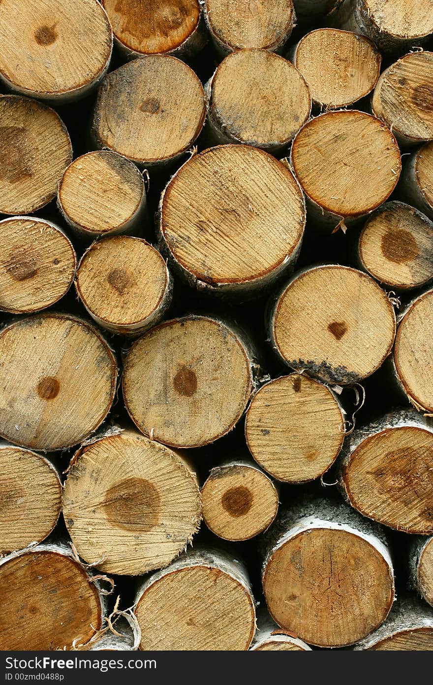 A background of a pile of wood. A background of a pile of wood